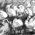 Dark Swans