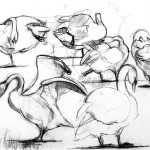 Light Swans