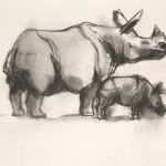 Indian One Horn Rhinoceros