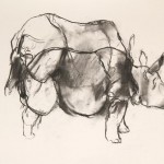 Indian One Horn Rhinosaurus 2