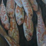 Red Mullet